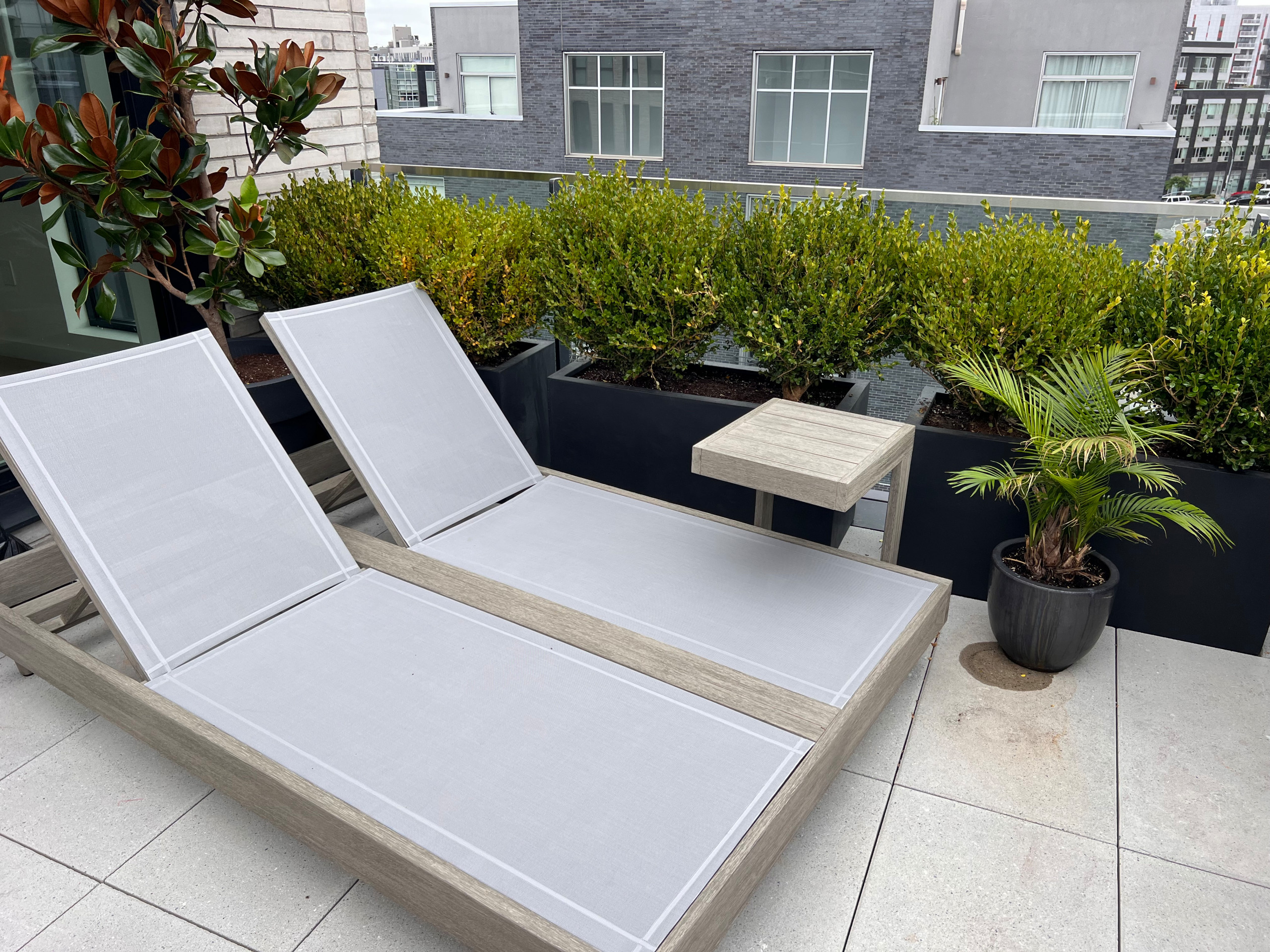 Williamsburg new terrace