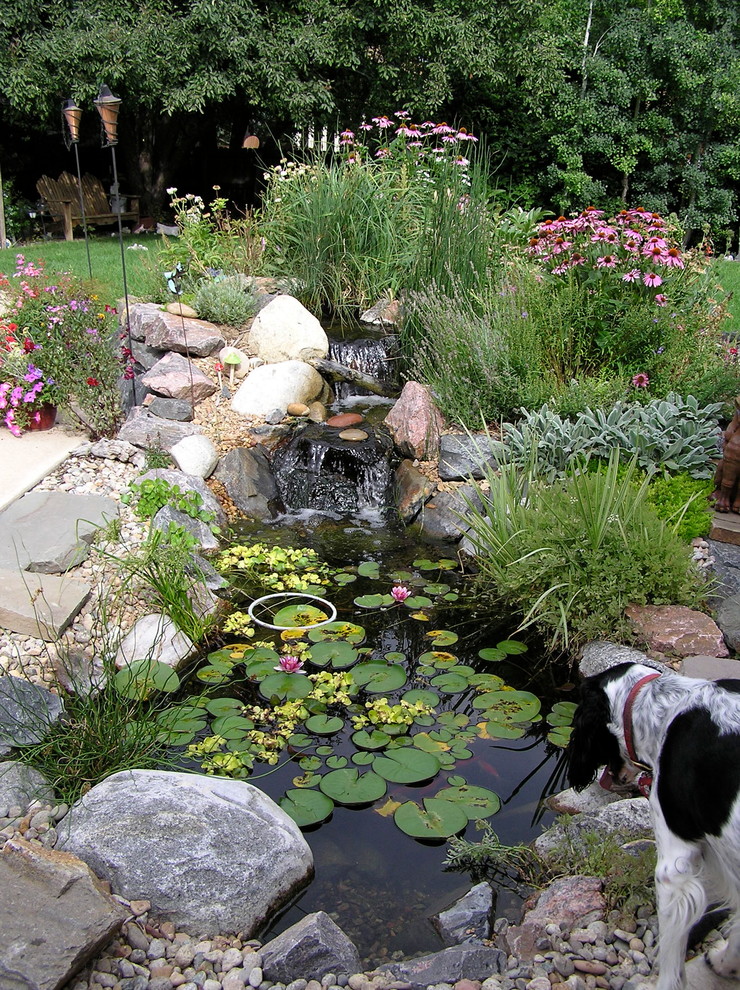 This is an example of a traditional backyard garden in Denver with a water feature.