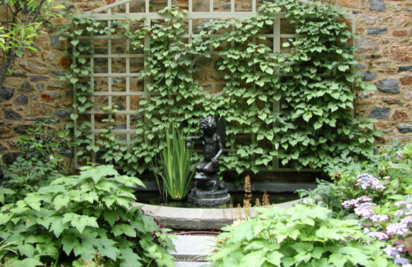 Great Design Plant: Ornamental Sweet Potato Vine