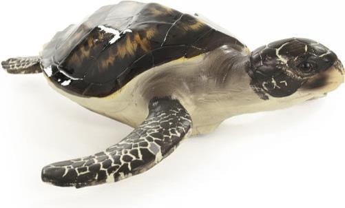 Sculpture Sea Turtle Large Onyx Black