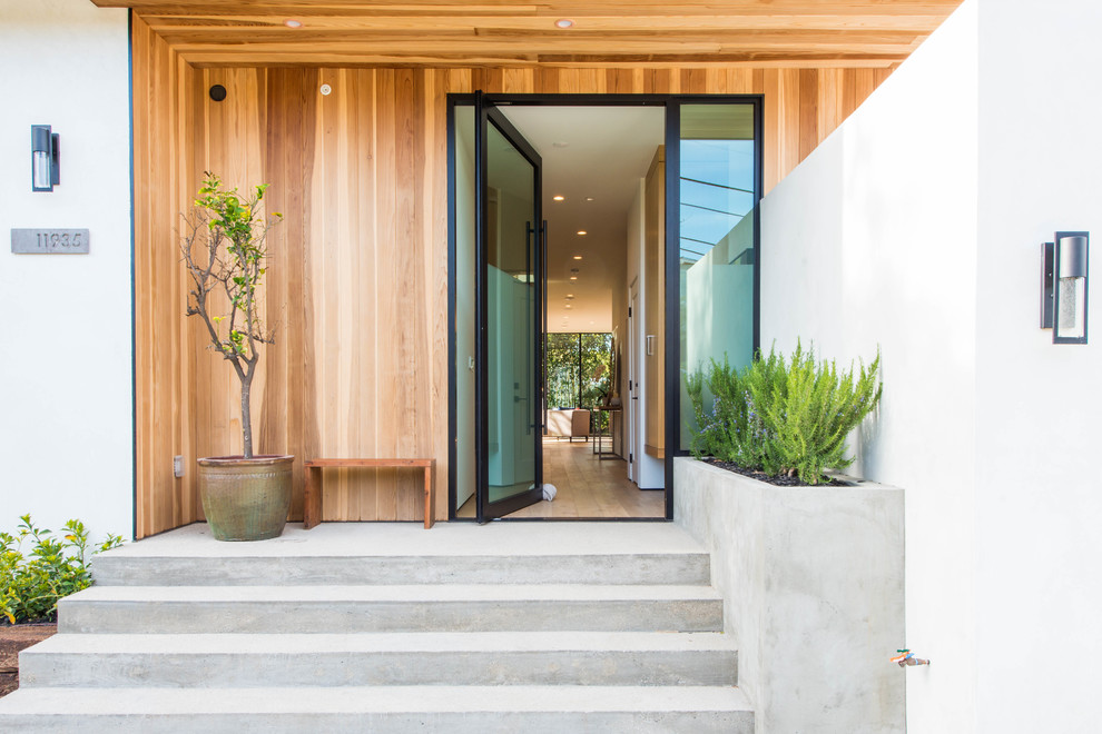 Contemporary front door in Los Angeles with multi-coloured walls, light hardwood floors, a pivot front door, a metal front door and multi-coloured floor.