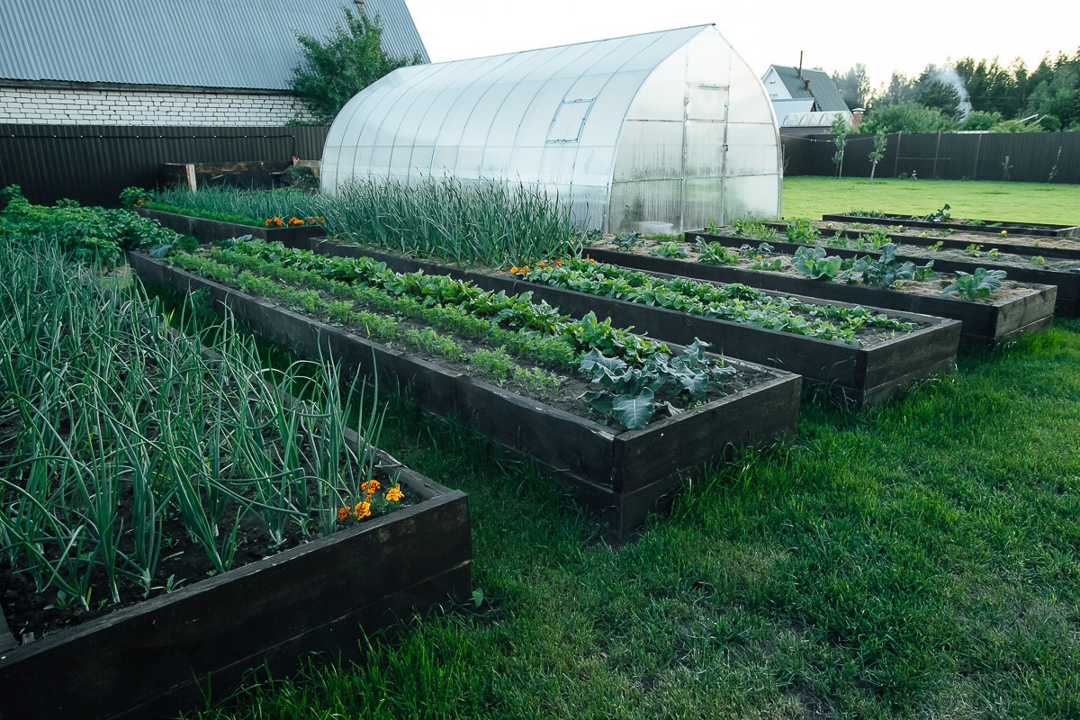 Равновесие