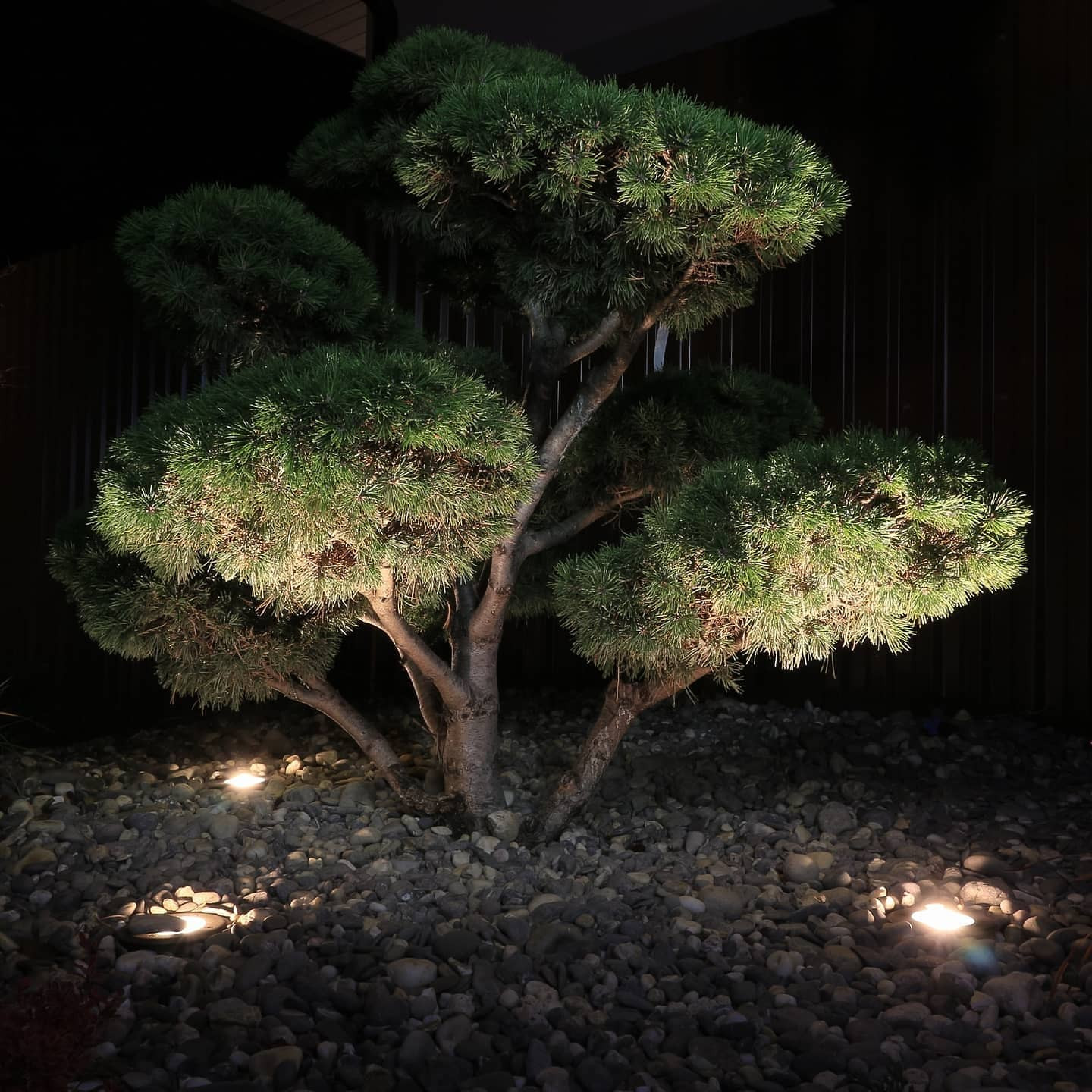 пос. Гранный ландшафтное освещение