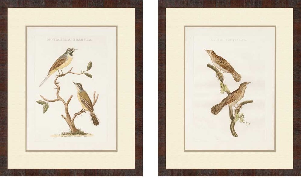 Nozeman Birds II Artwork, Set of 2, 25"x31"