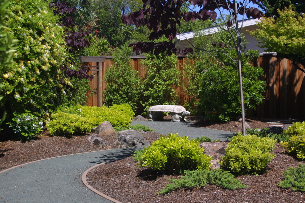 Design ideas for a mid-sized asian backyard full sun garden for spring in San Francisco with a garden path.