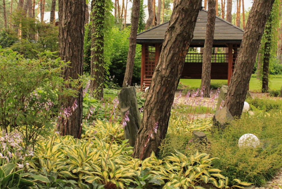 Тенистый сад в лестном массиве