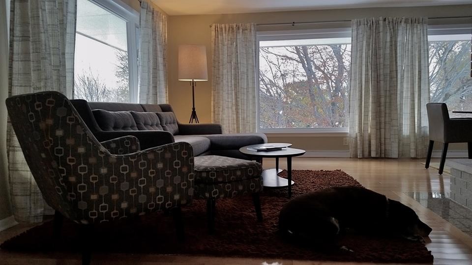 Mid Century Modern
