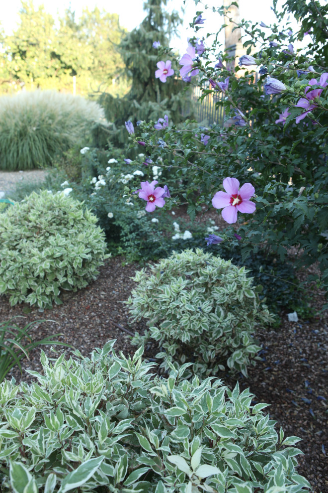 Дача в станице