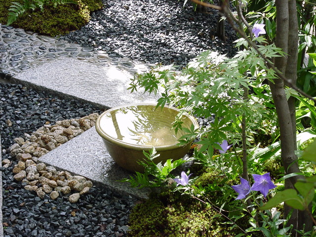Japanese Tea Garden, Japanese Tea Garden Water Basin