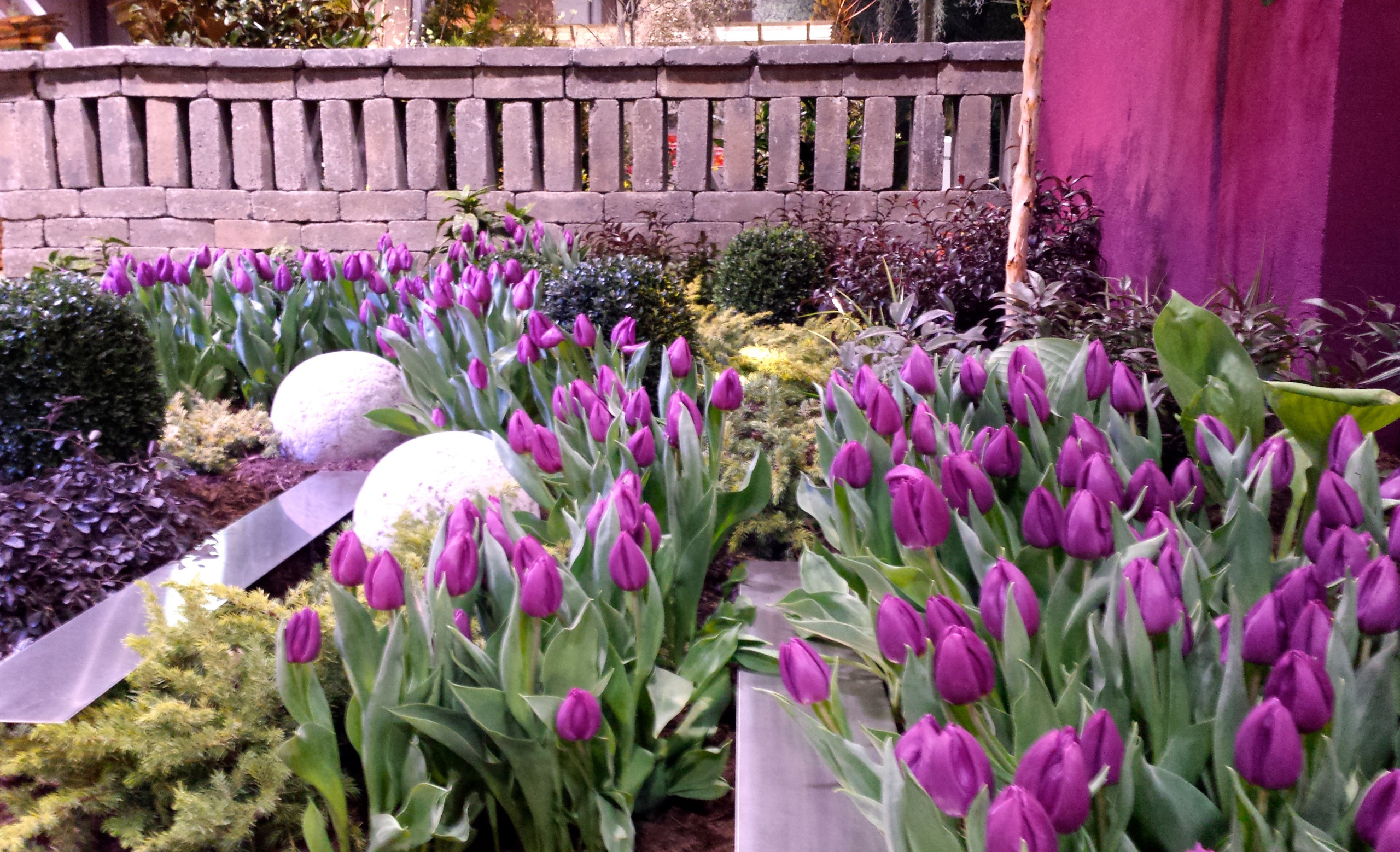 Southern Spring Home and Garden Show Entry 2015