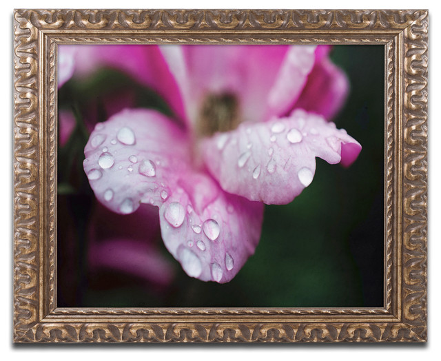 Pipa Fine Art Raindrops On Wild Rose Color Ornate Framed Art Traditional Prints And Posters By Trademark Global