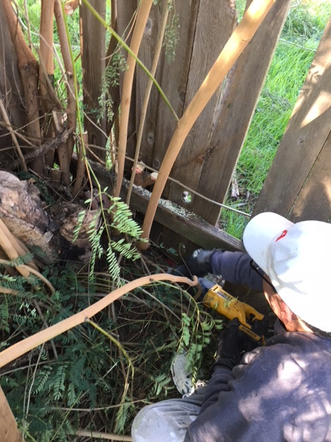 260' Wooden Fence Repaired/Reinforced