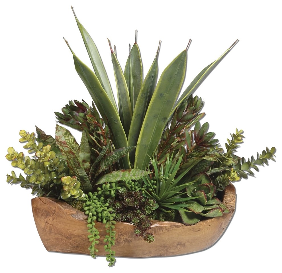 Salar Succulents In Teak Bowl By Designer Constance Lael-Linyard