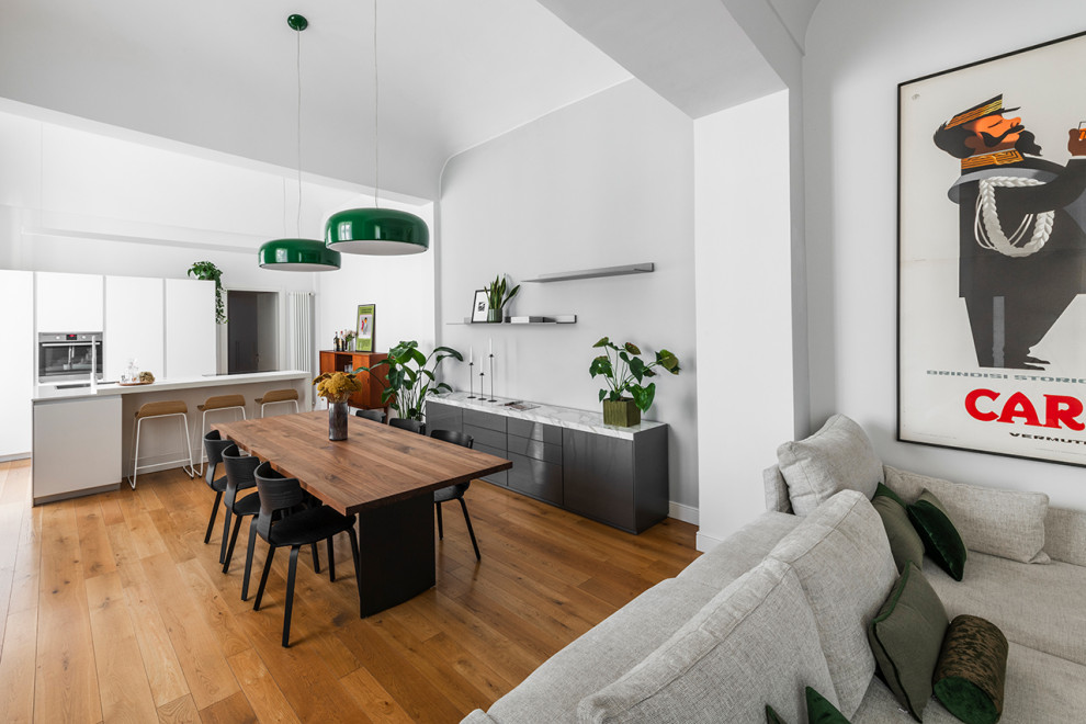Immagine di un grande soggiorno minimal aperto con pareti bianche, parquet chiaro e soffitto a volta