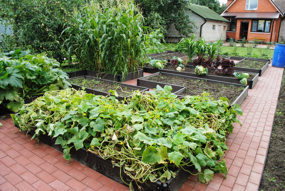 Володарское шоссе