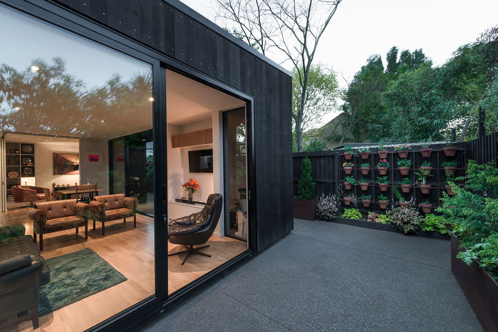 Contemporary patio in Christchurch with a container garden and concrete slab.