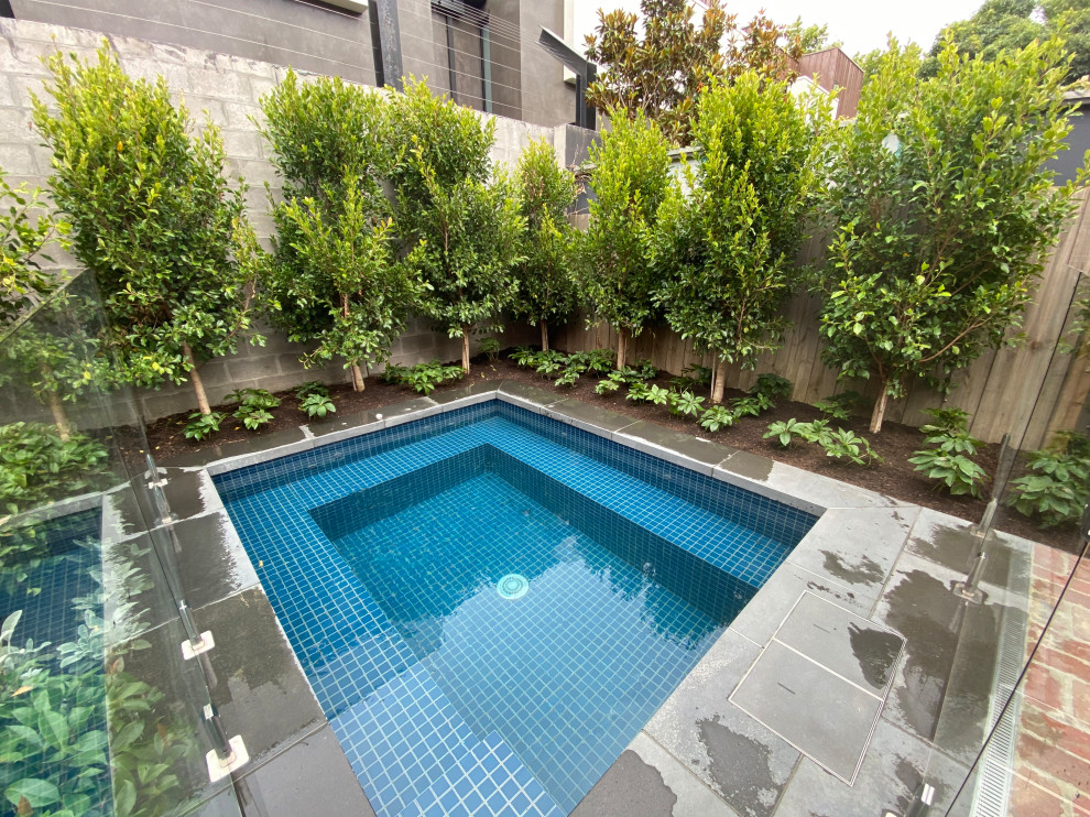 Pool - mid-sized pool idea in Melbourne