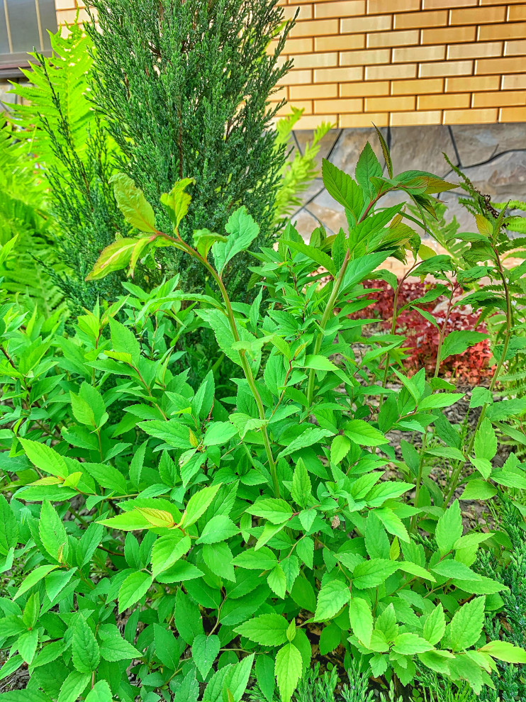 Ландшафтный дизайн в п. Молодёжный (Иркутск)