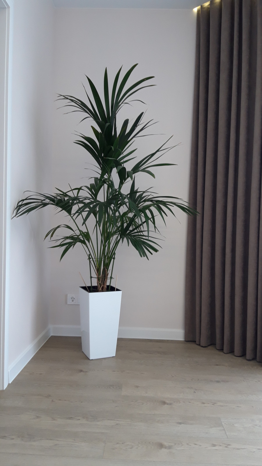 Квартира. Стрижи-Сити