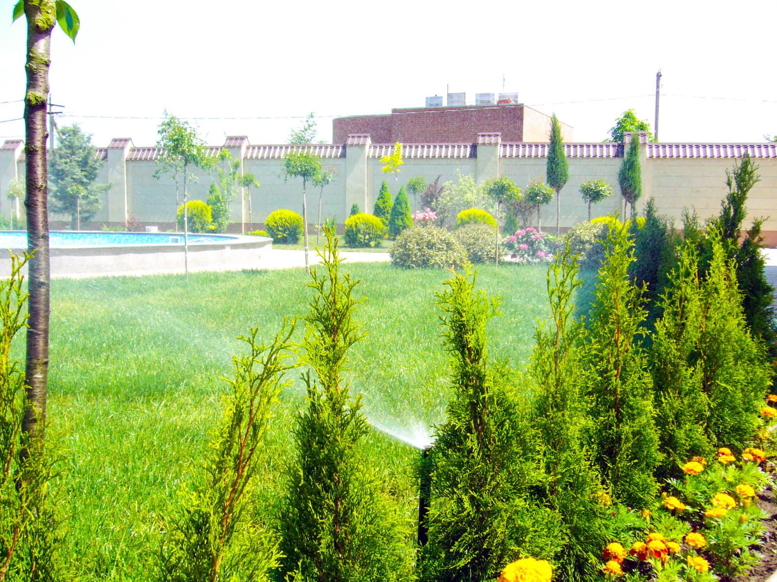 Ландшафтный дизайн в Сестрорецке