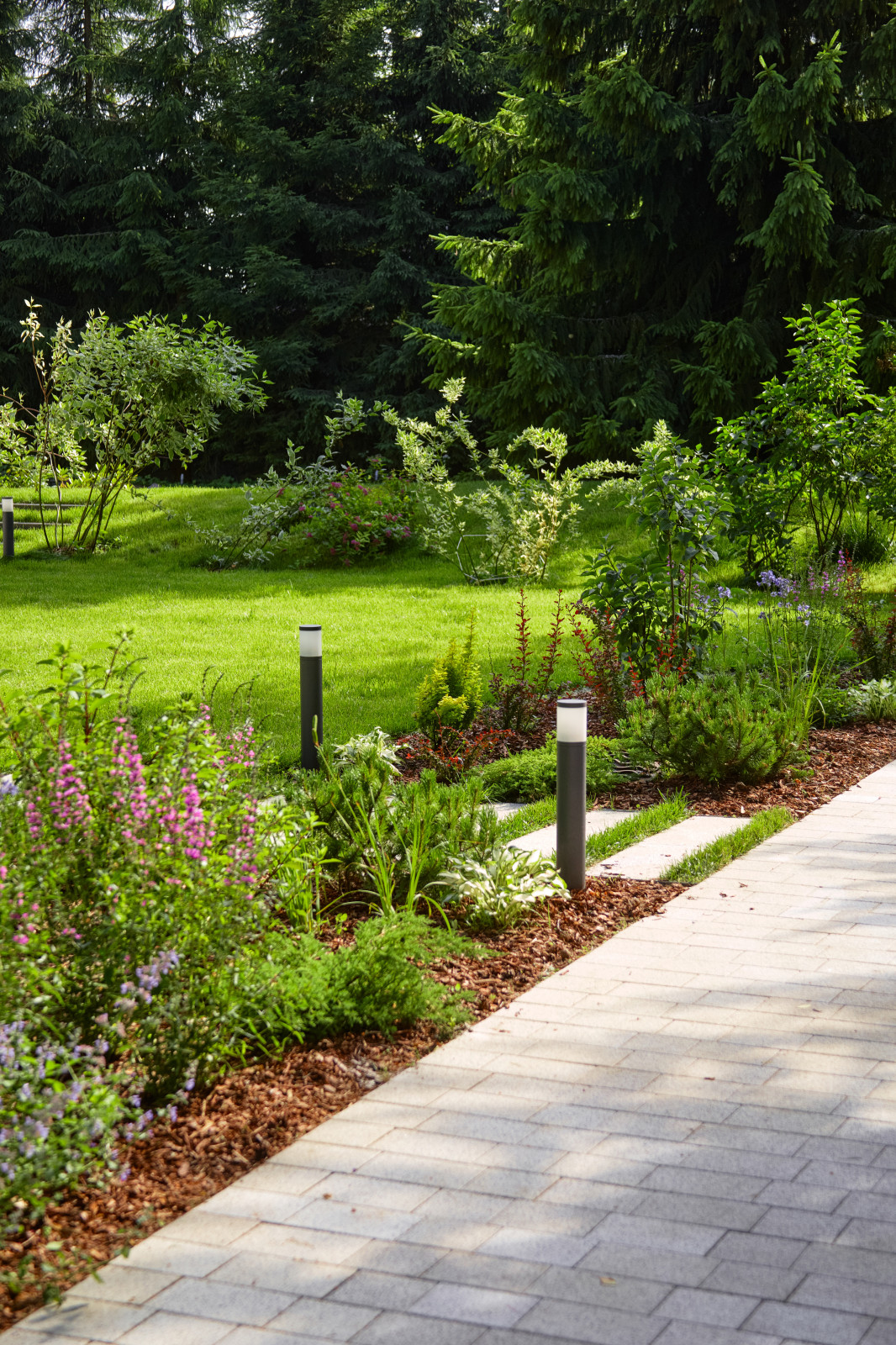 На Лисьем Носу