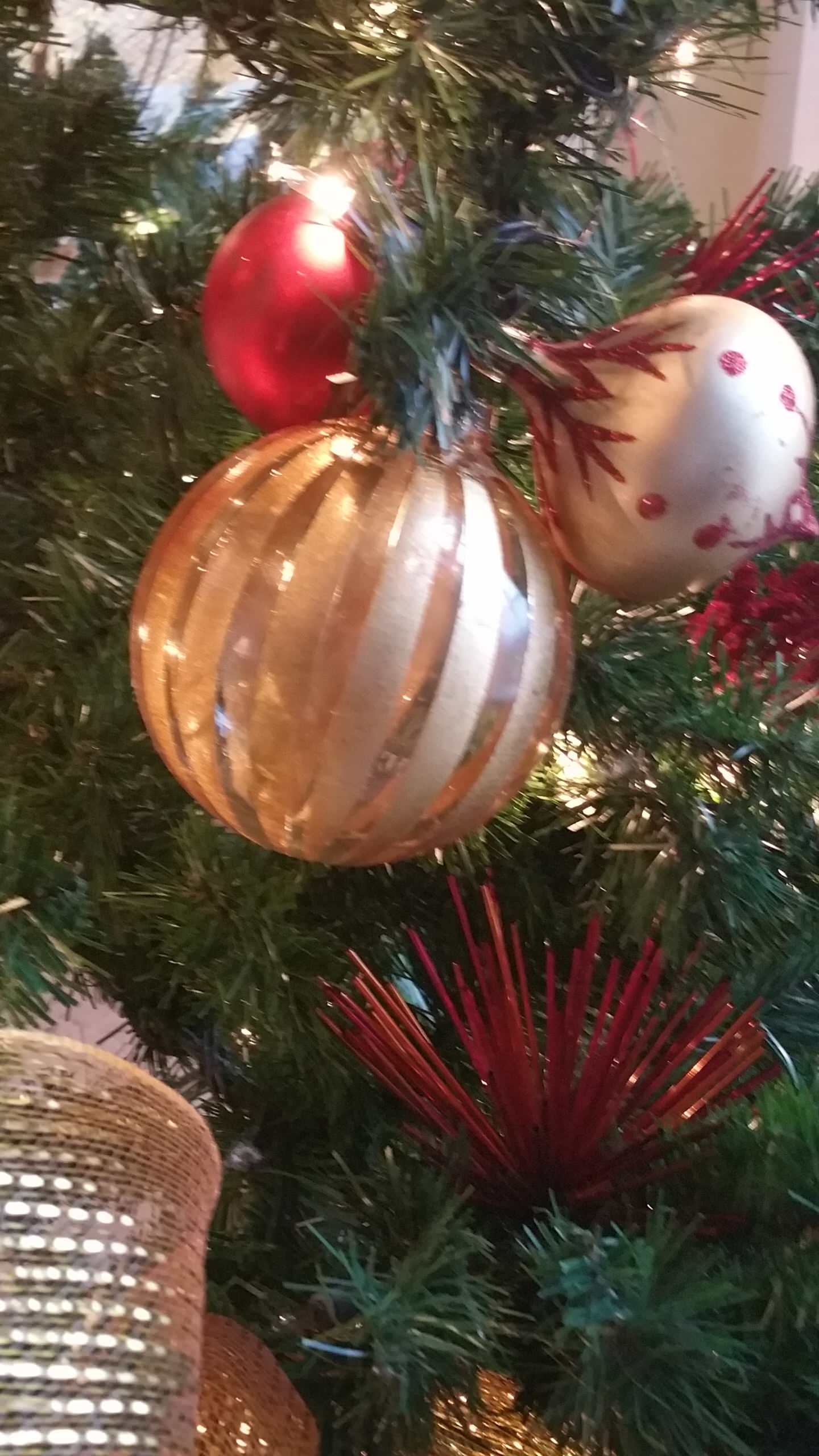 Christmas Love!