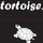 tortoise since 1931