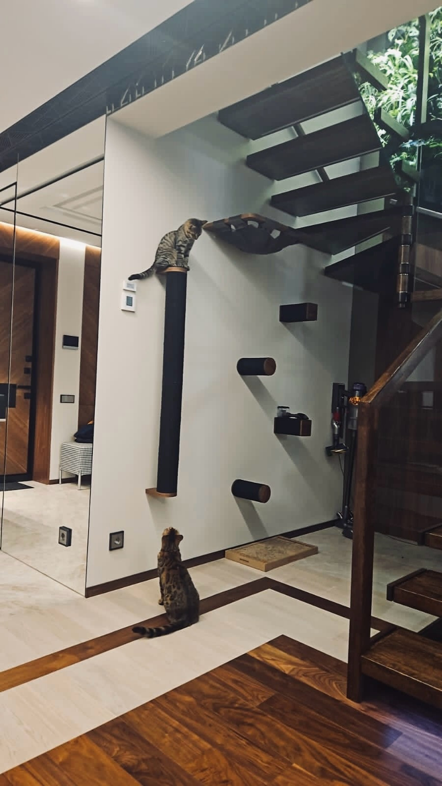 Настенный комплекс для кошек из шпона американского ореха