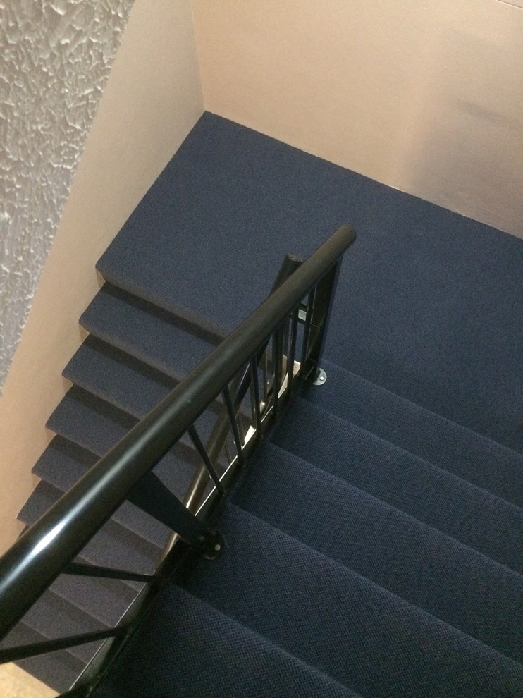 Photo of a mid-sized contemporary carpeted staircase in Gold Coast - Tweed with carpet risers.