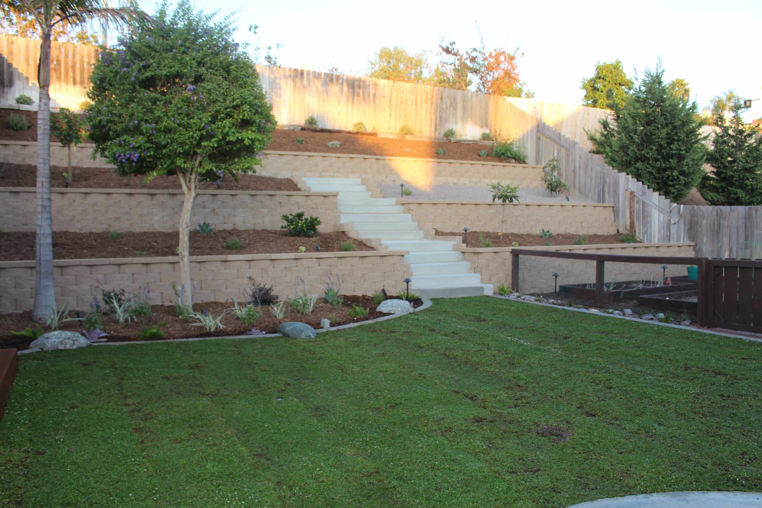 Black Mountain Ranch Terrace with Kurapia Sod
