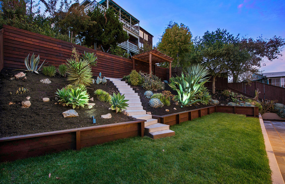 Mid-sized contemporary backyard full sun garden in San Francisco with a retaining wall.