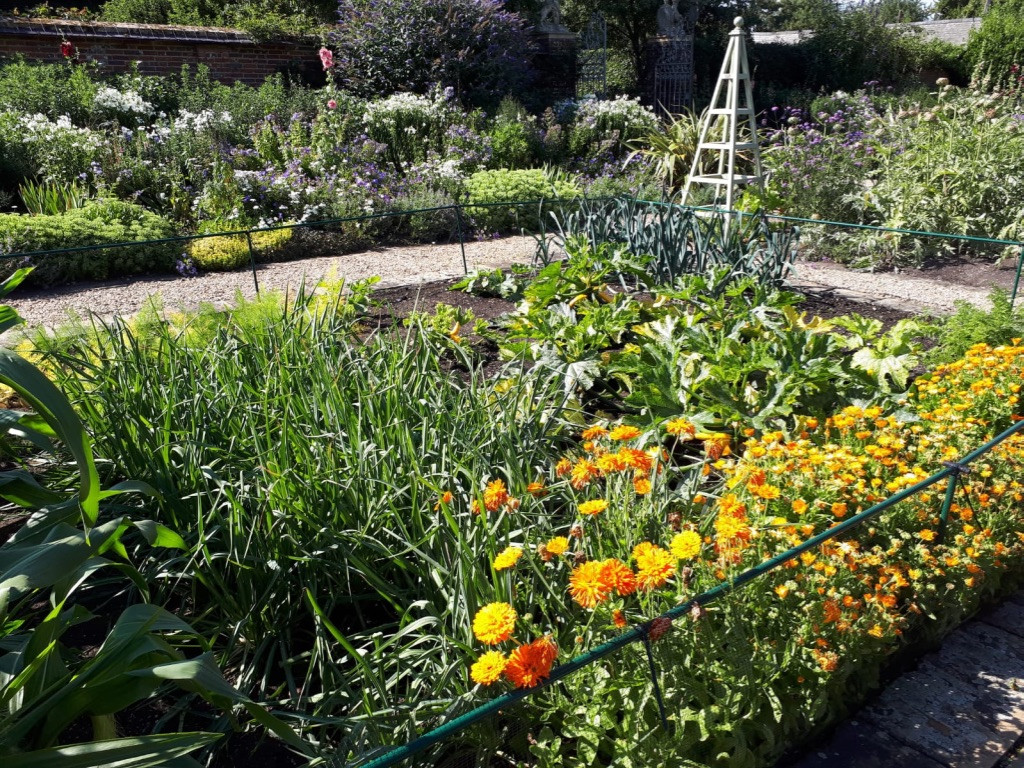 Vegetable Garden Maintenance Project