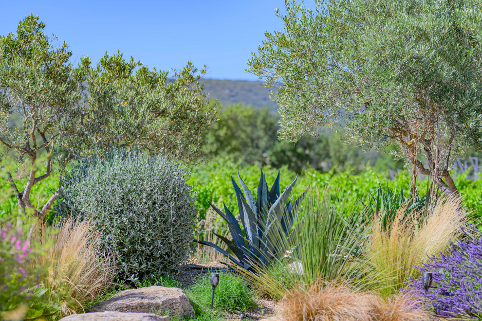 Jardin de campagne