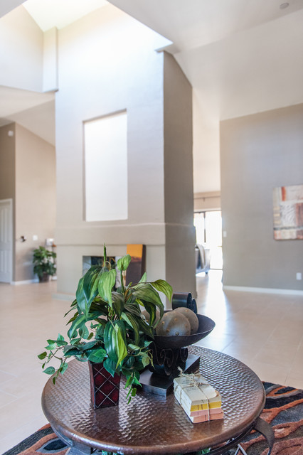 18 S Riata Drive Gilbert AZ 85296 modern-wohnbereich