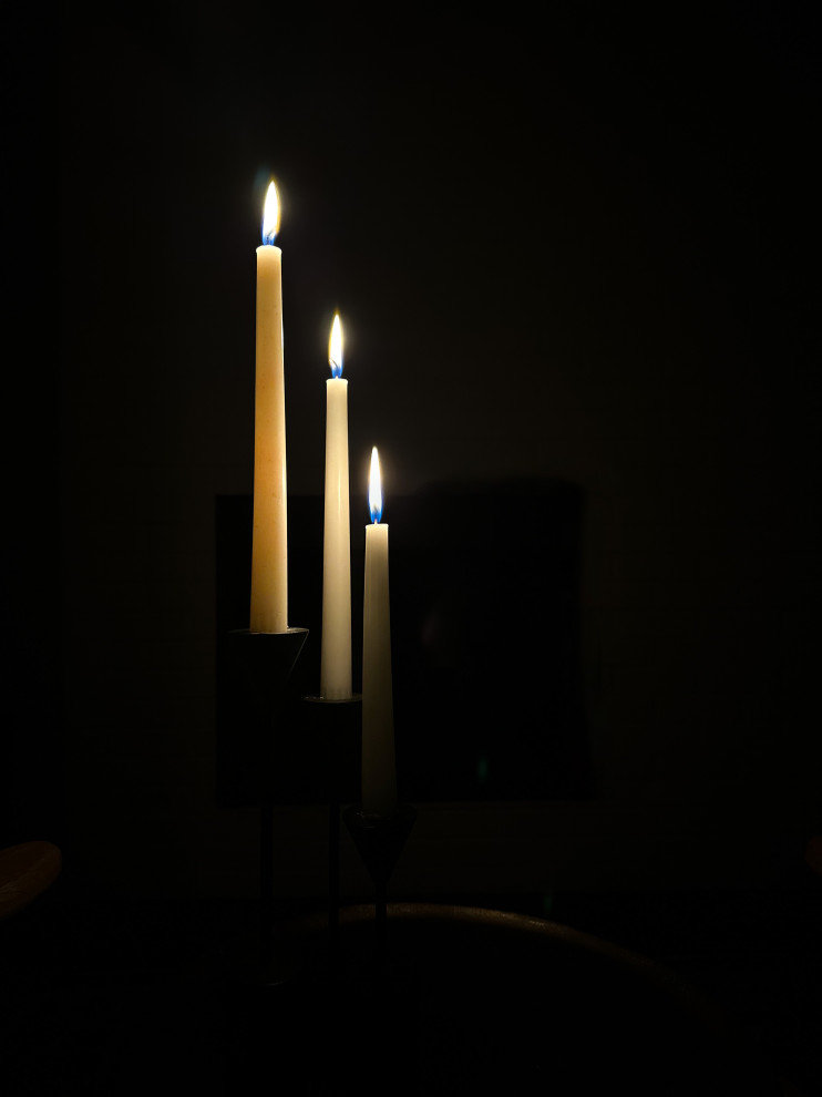 Organic Retreat | Littleton, CO | Basement Design