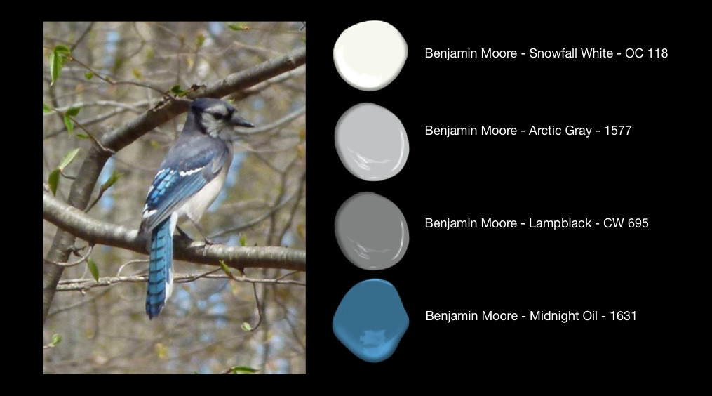 Colour Schemes