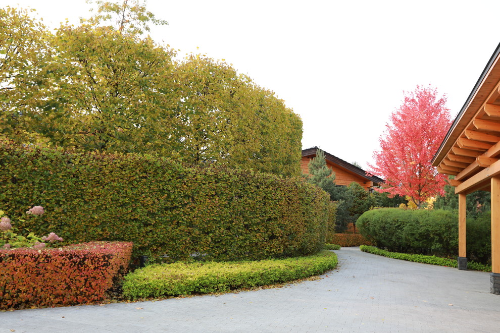 Современный взгляд на классику