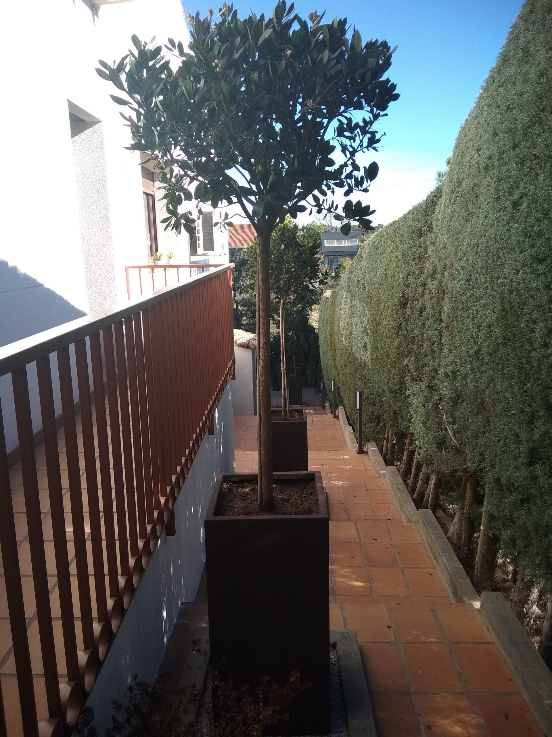 Dando color a viejos jardines