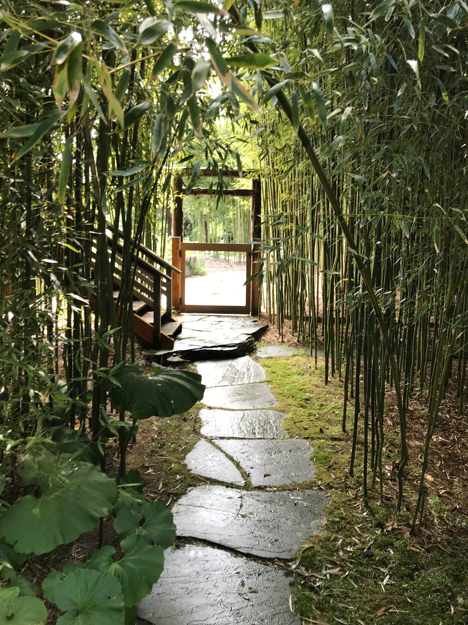 East Hampton, NY - Revegetation Design and Installation