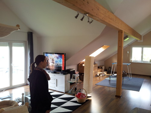 Suche idee für umgestaltung wohn /esszimmer & kamin