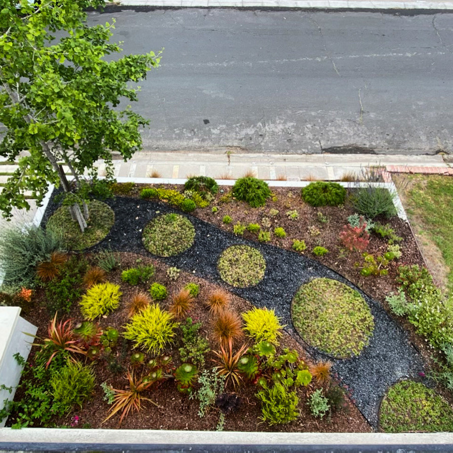 Torrance, CA Hollywood Riviera - Avenida Granada Garden designs