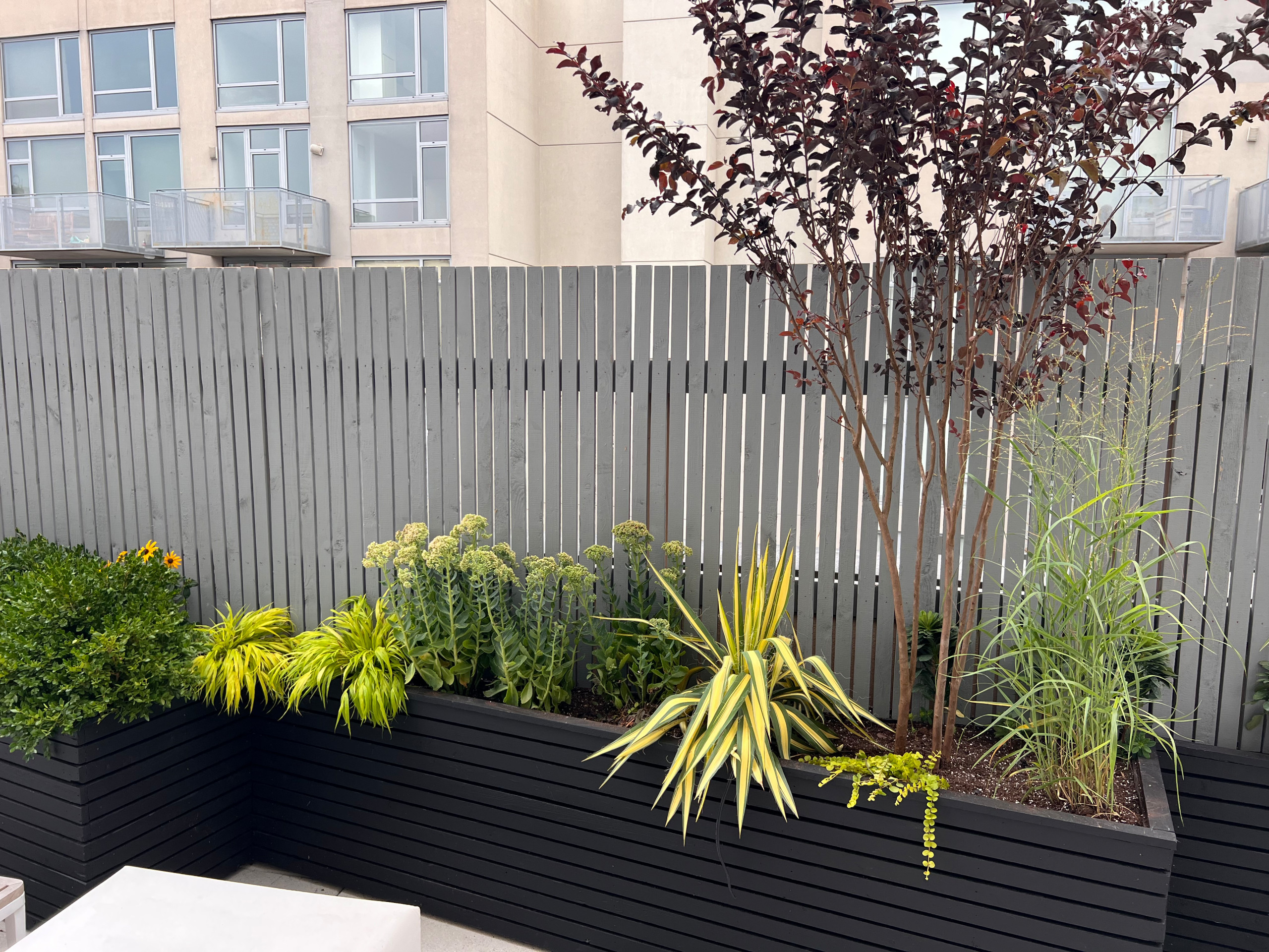Williamsburg Kid Friendly Terrace
