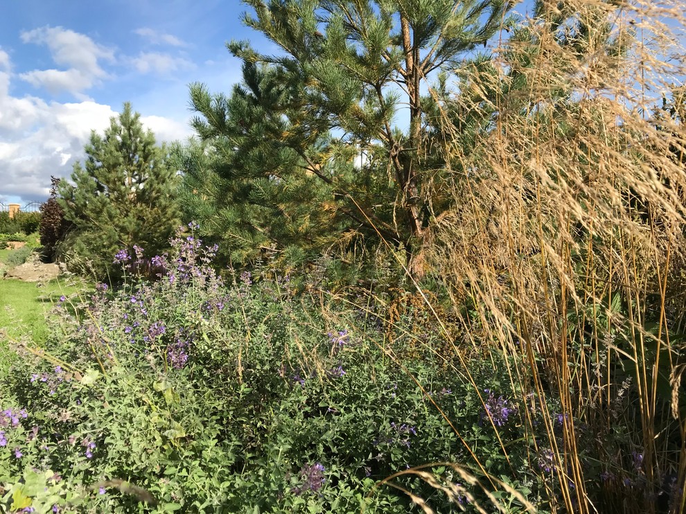 Свежий Ветер, 0.25 га