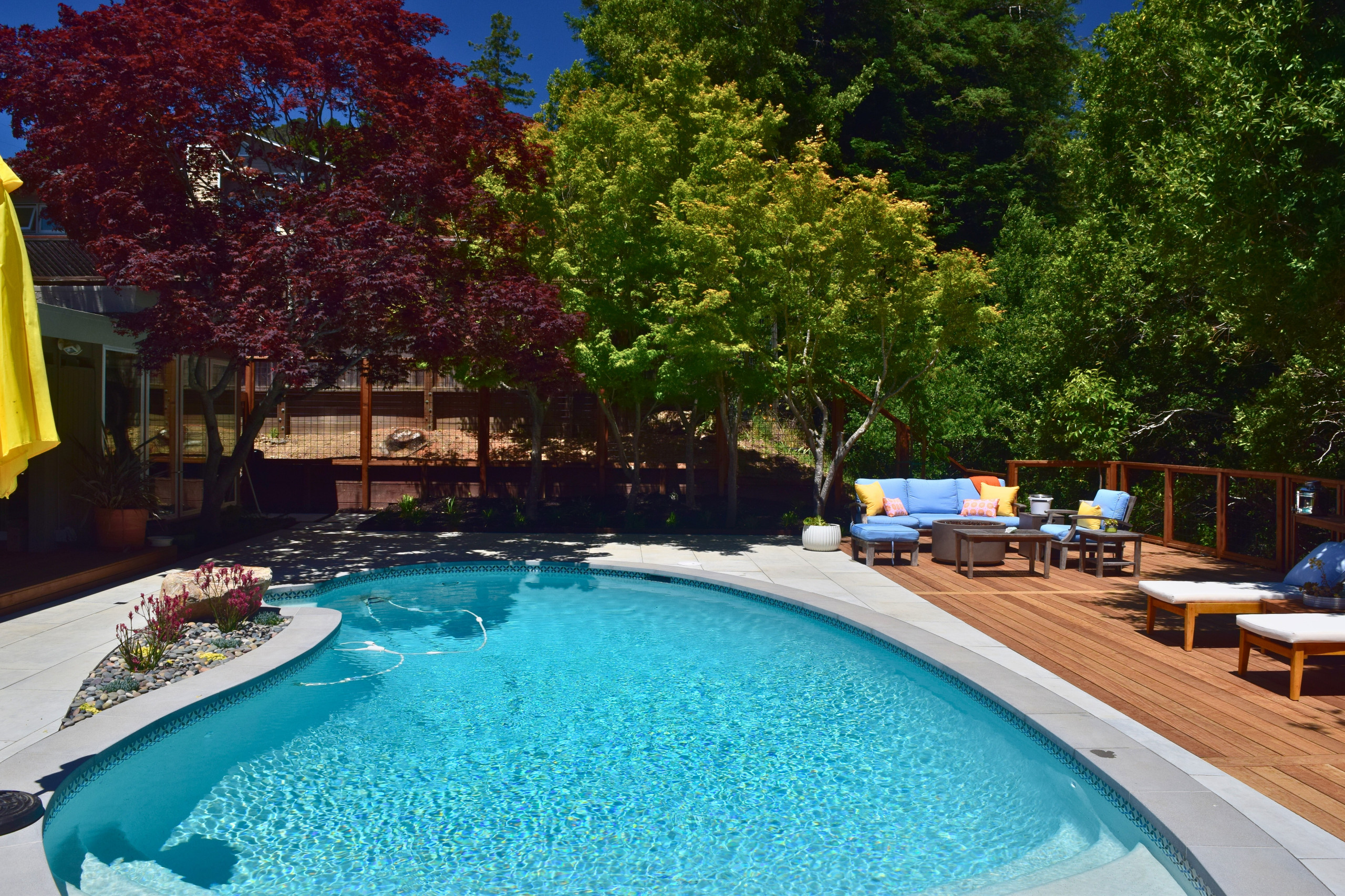 Backyard Pool Deck in San Rafael