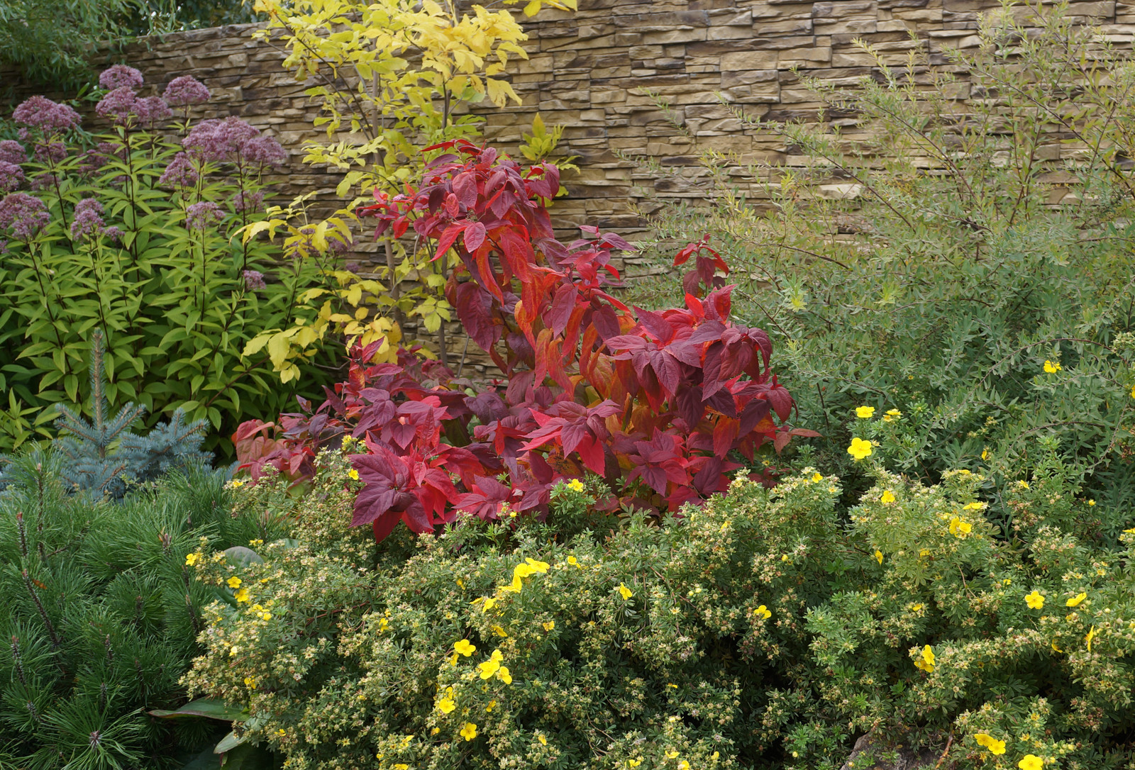 Ясная  поляна