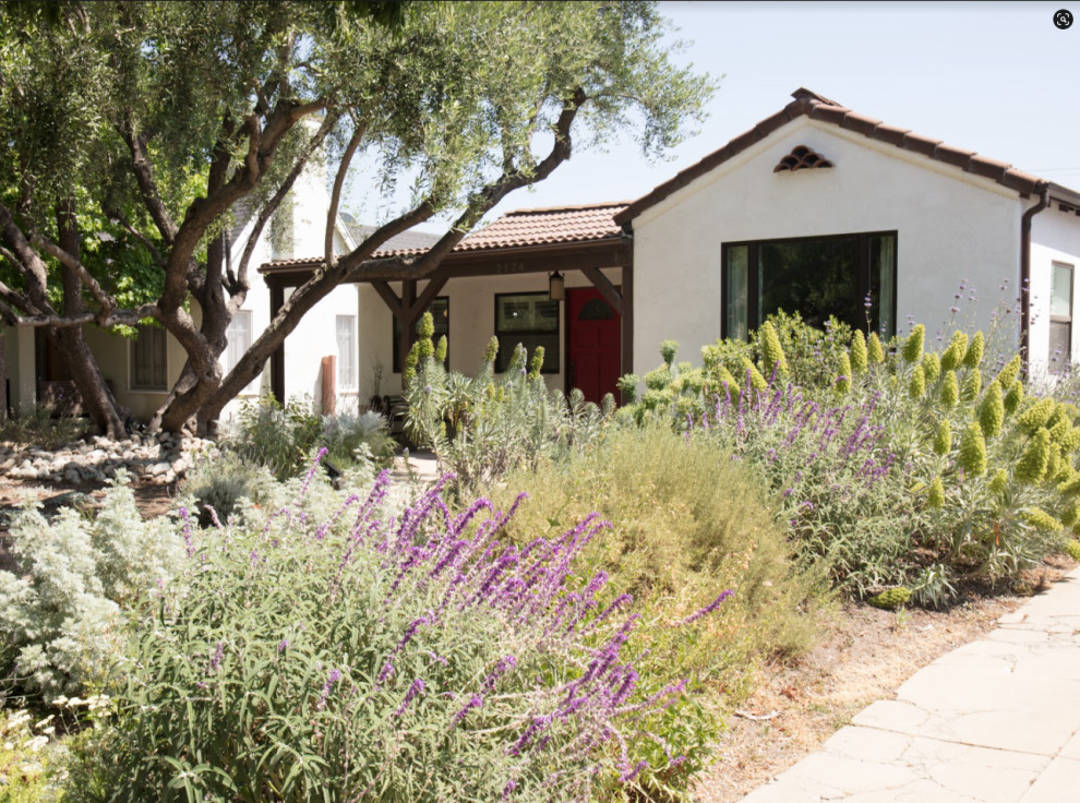 Diseño de jardín de secano mediterráneo grande en verano en patio trasero con parterre de flores, exposición total al sol y gravilla