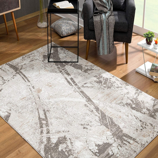 4' X 6' Gray And Ivory Abstract Organic Area Rug Contemporary Area