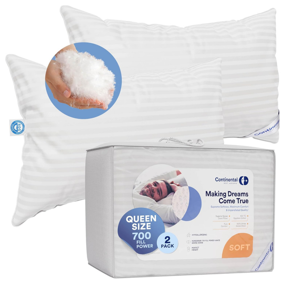 Superior 700 Fill Power -  100% Hungarian White Goose Down Pillow., Queen (Set of 2), Soft
