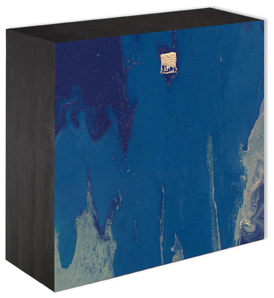 "Oceana" Wood panel print Contemporary Prints And Posters by