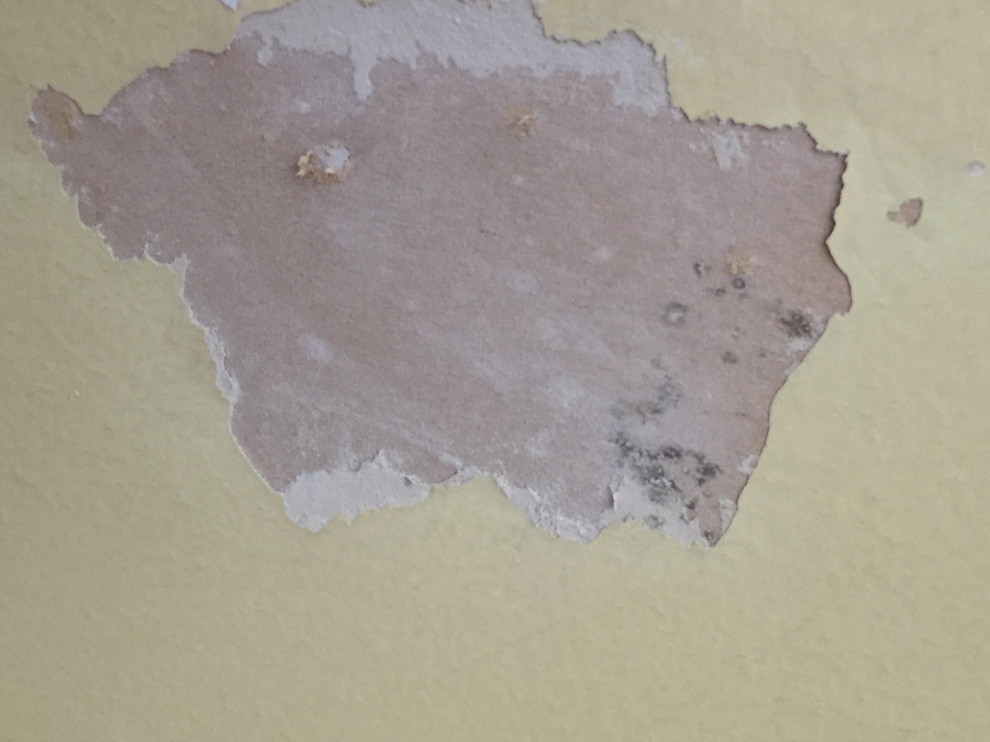 Is this mildew in drywall?